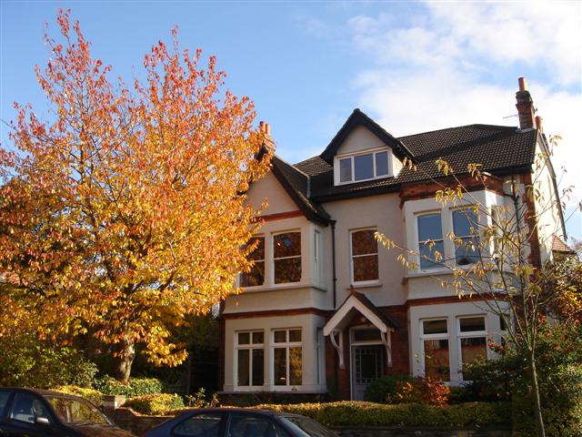 m Christmas 23rdDec2007 (4).JPG